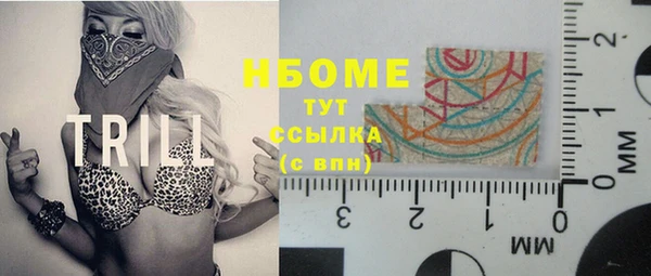 сатива Горняк