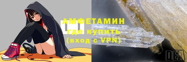 сатива Горняк