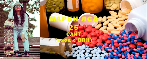 сатива Горняк