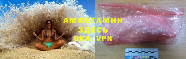 сатива Горняк